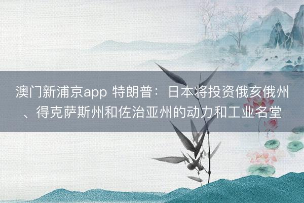 澳门新浦京app 特朗普：日本将投资俄亥俄州、得克萨斯州和佐治亚州的动力和工业名堂