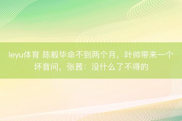 leyu体育 陈毅毕命不到两个月，叶帅带来一个坏音问，张茜：没什么了不得的